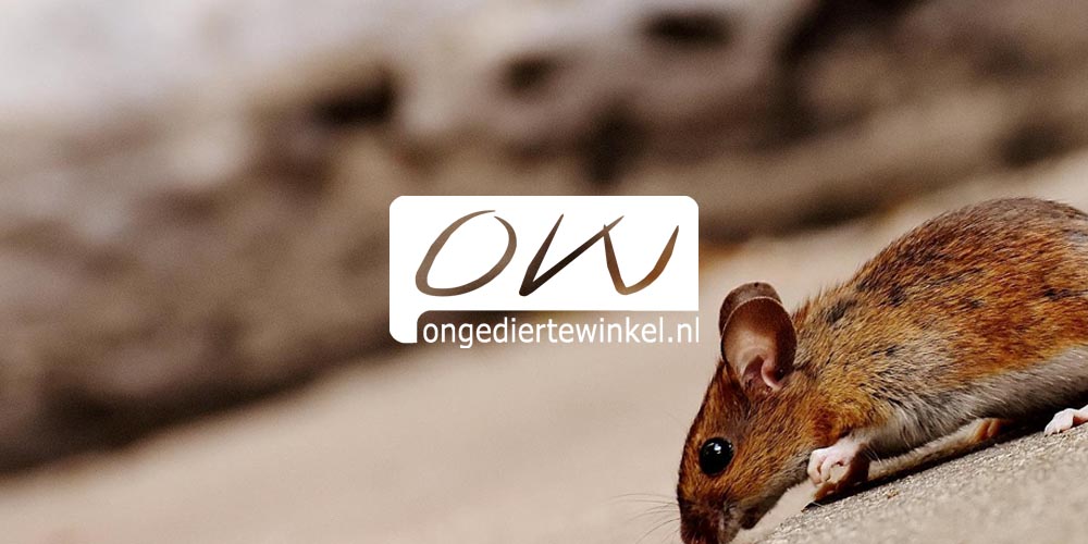 Ongediertewinkel.nl 